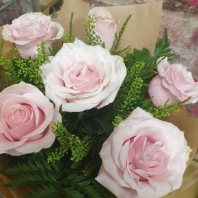 Half dozen pink rose hand tied